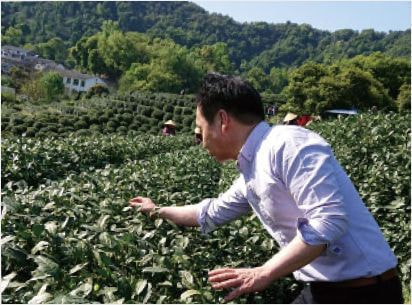 香り高い茶葉のみ使用